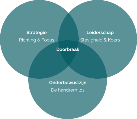 Annemieke Vogel | Business coach & NEI therapeut
